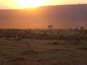 serengeti-tanzania