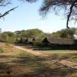 tarangire-safari-lodge